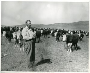 Image description is not available for PHO-4-W689-334